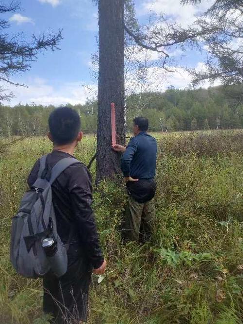 29岁放线员在内蒙古一林场作业时失联，家属称其携十余斤装备也未发现，急寻专业救援