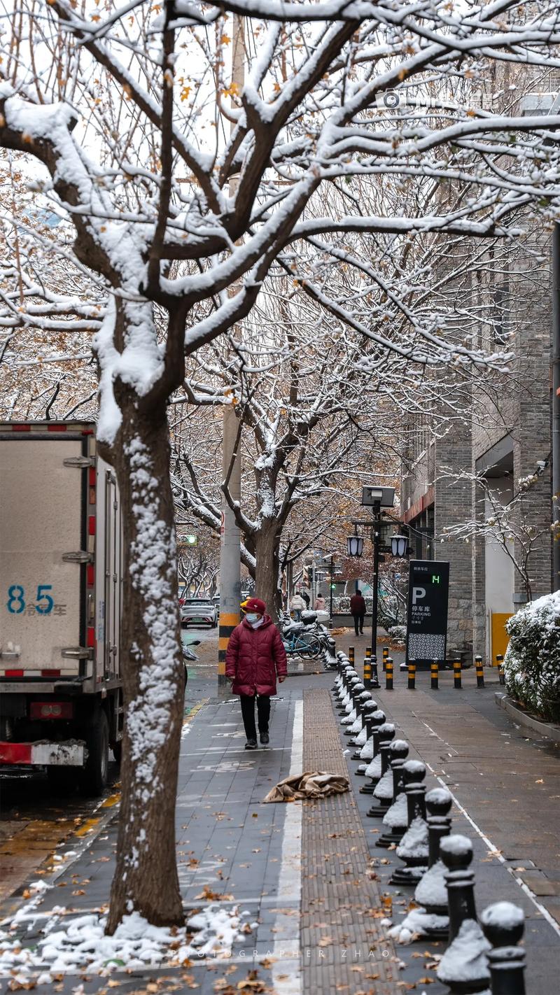 雪后明府城，美如画境